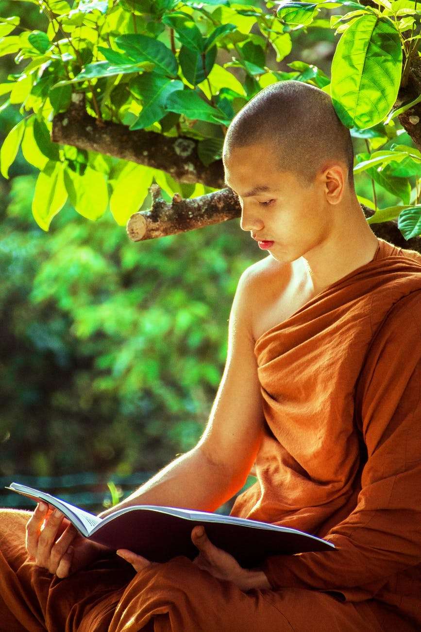 bhikkhu book boy buddhism